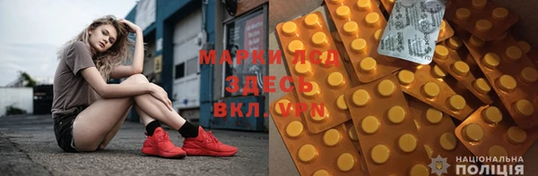 прущие грибы Аркадак