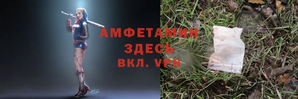индика Армянск
