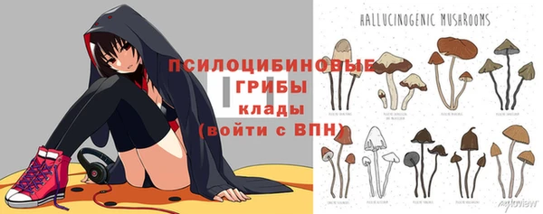 mix Арсеньев