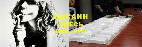 индика Армянск