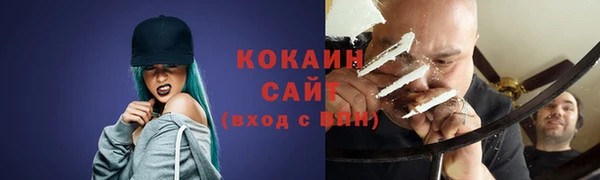 индика Армянск
