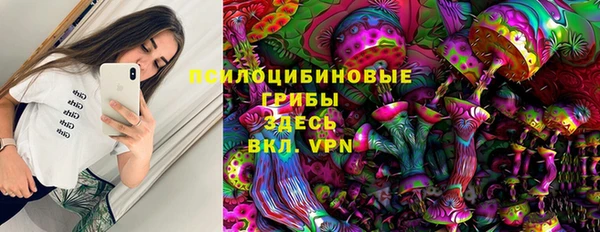 индика Армянск