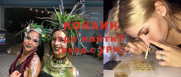 прущие грибы Аркадак