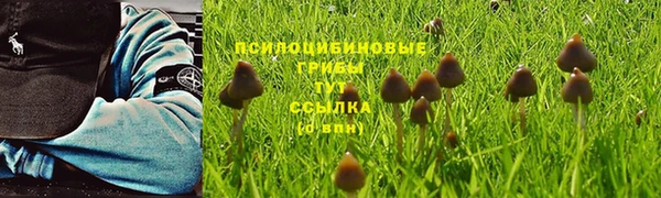 индика Армянск