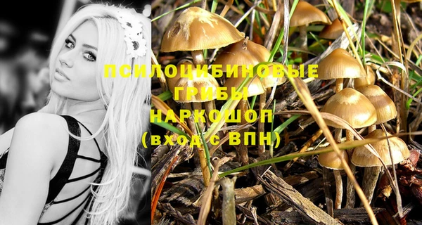mix Арсеньев