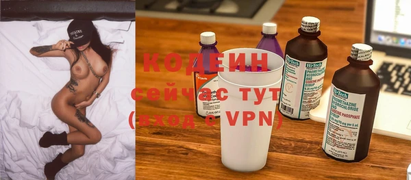 прущие грибы Аркадак