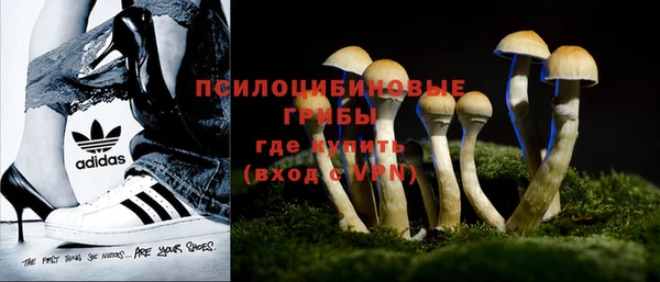 индика Армянск